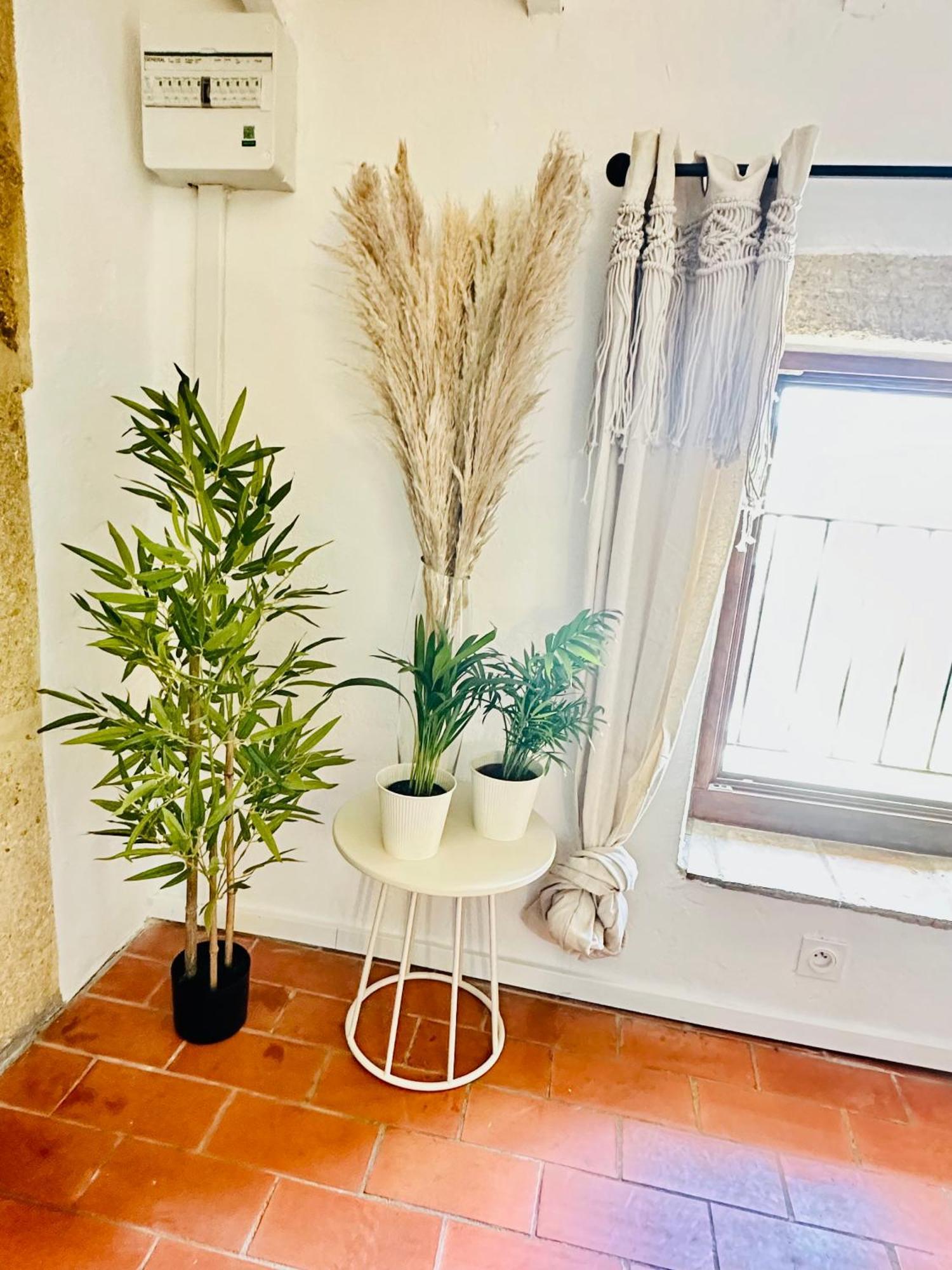 La Boheme : Gardon Et Pont Du Gard Apartment Ремулан Екстериор снимка